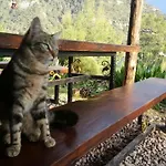 Gemile Camping * Faralya