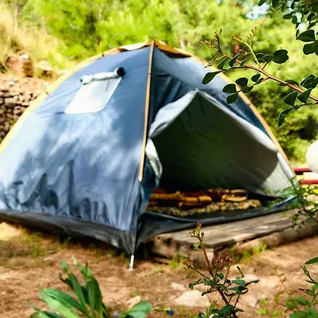 Gemile Camping *