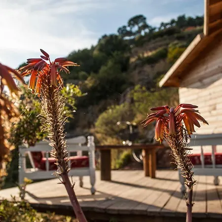 Отель Gemile Camping Фаралия